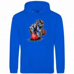 Худі чоловічі