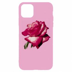Apple iPhone 11 Pro