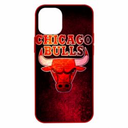 Чехол из раздела Баскетбол Chicago Bulls для Apple iPhone 12 mini