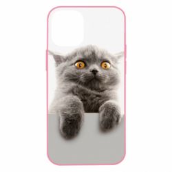 Apple iPhone 12 mini