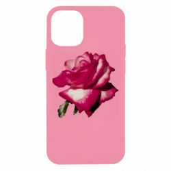 Apple iPhone 12 mini