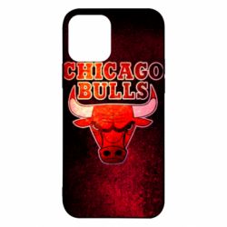Чехол из раздела Баскетбол Chicago Bulls для Apple iPhone 12 Pro