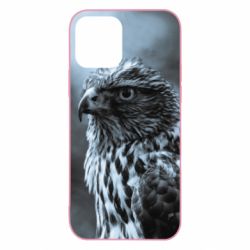Apple iPhone 12 Pro