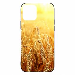Apple iPhone 12 Pro