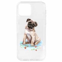 Apple iPhone 12 Pro