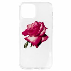 Apple iPhone 12 Pro