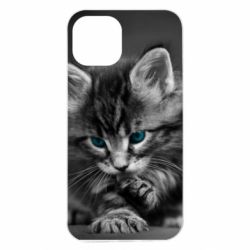 Чохол з розділу Кіт Gray cat для Apple iPhone 13