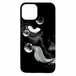 Apple iPhone 13 mini