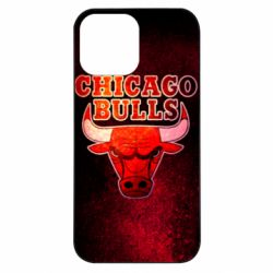 Чехол из раздела Баскетбол Chicago Bulls для Apple iPhone 13 Pro Max