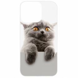 Apple iPhone 13 Pro - FATLINE