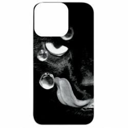 Apple iPhone 13 Pro - FATLINE