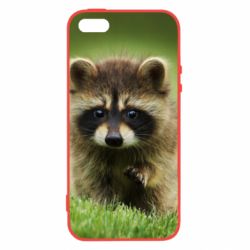 Чехол из раздела Енот Маленький енот для Apple iPhone 5S