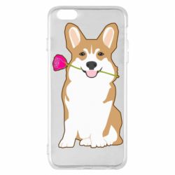 Apple iPhone 6 Plus/6S Plus