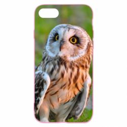 Чохол з розділу Сова Owl on green field для Apple iPhone SE 2020 - FATLINE Чохол з розділу Сова Owl on green field для Apple iPhone SE 2020