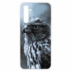 Realme 6