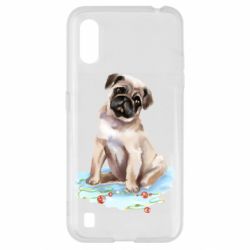Samsung A01/M01