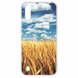 Samsung A01/M01