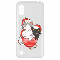 Samsung A01/M01