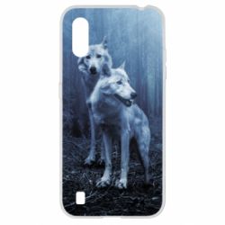 Samsung A01/M01