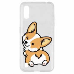 Samsung A01/M01