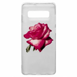 Samsung S10+