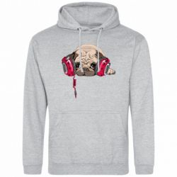 Худі чоловічі