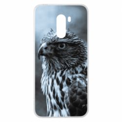 Xiaomi Pocophone F1