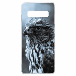 Samsung S10+