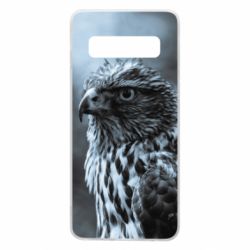 Samsung S10
