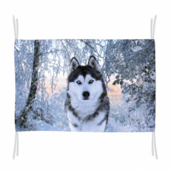 Прапор Winter Husky - FATLINE Прапор Winter Husky