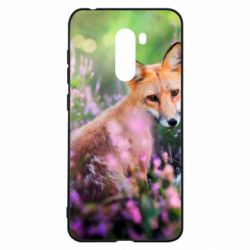 Xiaomi Pocophone F1