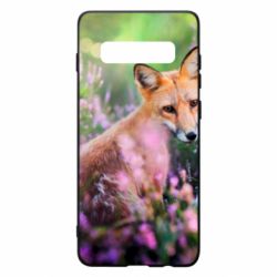 Samsung S10+