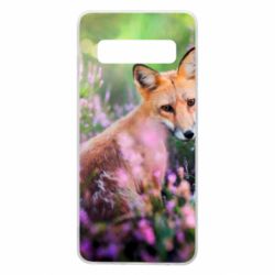 Samsung S10