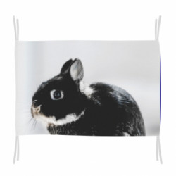 Прапор Gray rabbit - FATLINE Прапор Gray rabbit