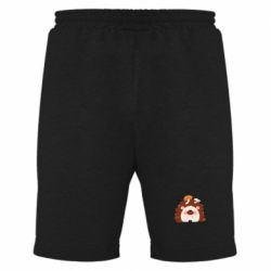 Мужские шорты