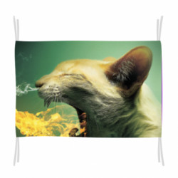 Прапори - FATLINE