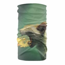 Бандана-труба