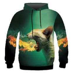 Чоловічі 3D худі - FATLINE