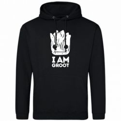 Худі чоловічі