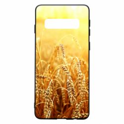 Samsung S10
