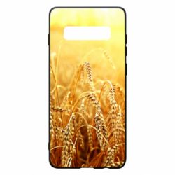 Samsung S10+