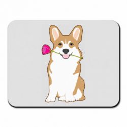 Коврики для мыши