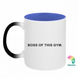 Кружки-хамелеоны двухцветные