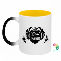 Кружки-хамелеони двокольорові