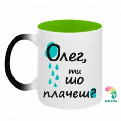 Кружки-хамелеоны двухцветные