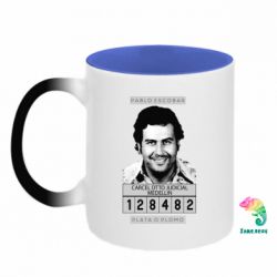 Кружки-хамелеоны двухцветные