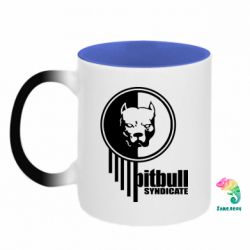 Кружки-хамелеоны двухцветные