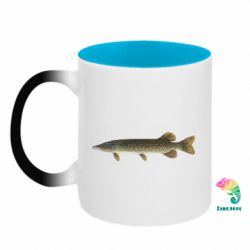 Кружки-хамелеоны двухцветные