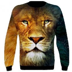 3D світшот Лео