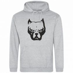 Худі чоловічі